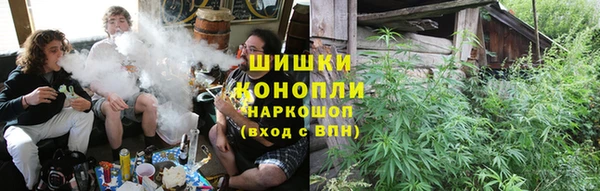 сатива Баксан