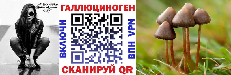 Галлюциногенные грибы Psilocybe  Вихоревка 